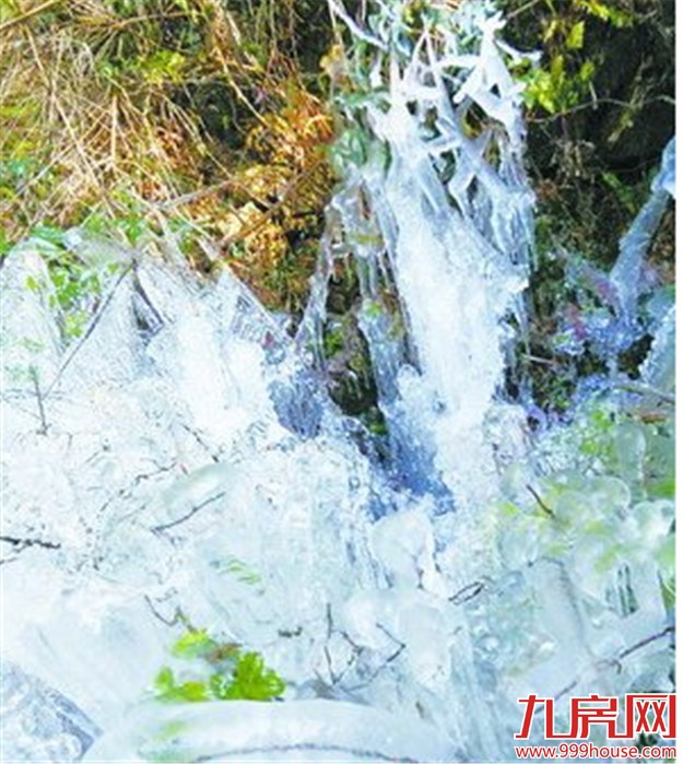 0.1℃！厦门从没这么冷过  明后天气温回升-九房网