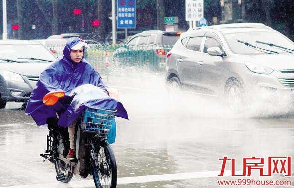 出门慢行！暴雨大雾今结伴袭厦 暴雨大雾预警接连发布-九房网