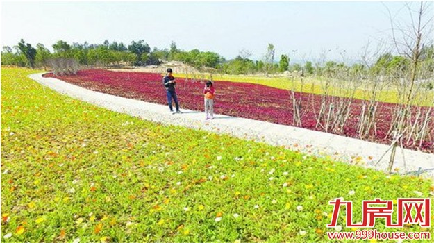 春节国内游目的地 厦门荣登榜首-九房网