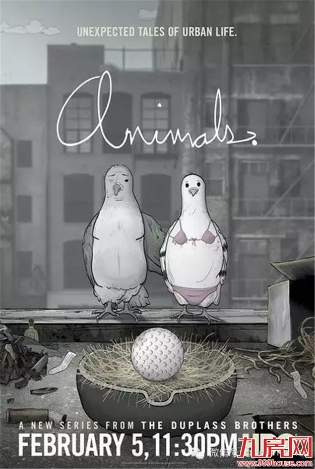 厦门房产,厦门房地产,厦门买房,九房网