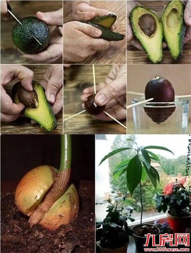 学会这几个小技巧 30平米出租屋也能迅速提升格调！——九房网