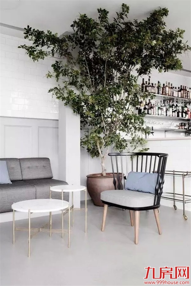 学会这几个小技巧 30平米出租屋也能迅速提升格调！——九房网