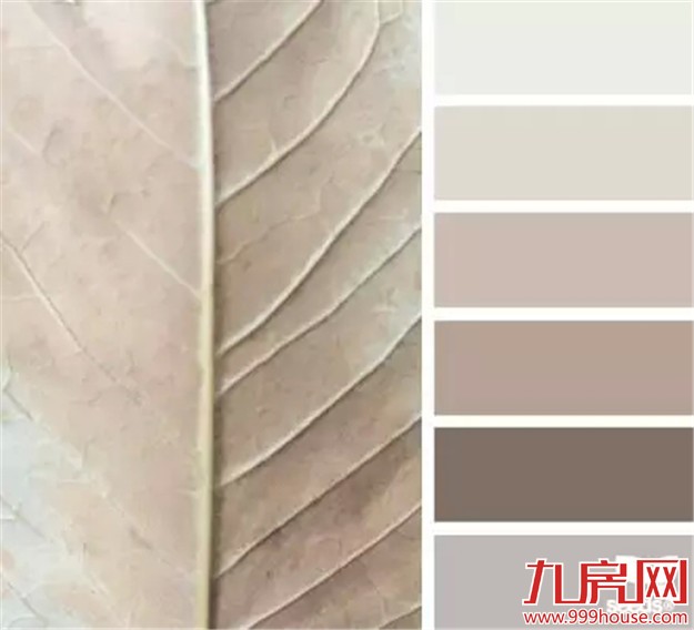 学会这几个小技巧 30平米出租屋也能迅速提升格调！——九房网