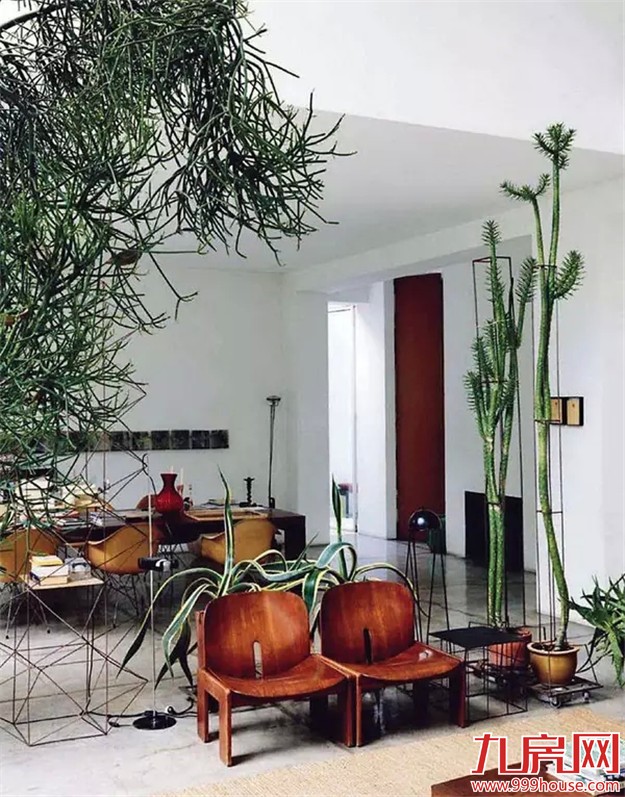 学会这几个小技巧 30平米出租屋也能迅速提升格调！——九房网