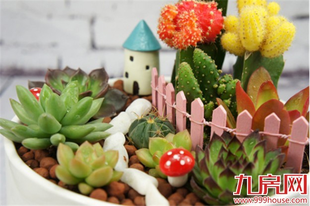 预告：本周末大厦门仅1楼盘入市——九房网