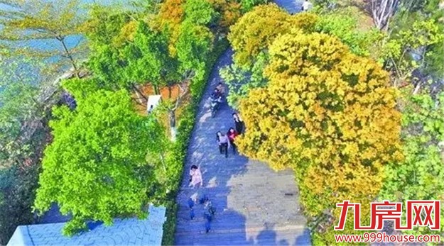 《跑男》要来厦录制？厦门高颜值又浪漫的取景地——九房网