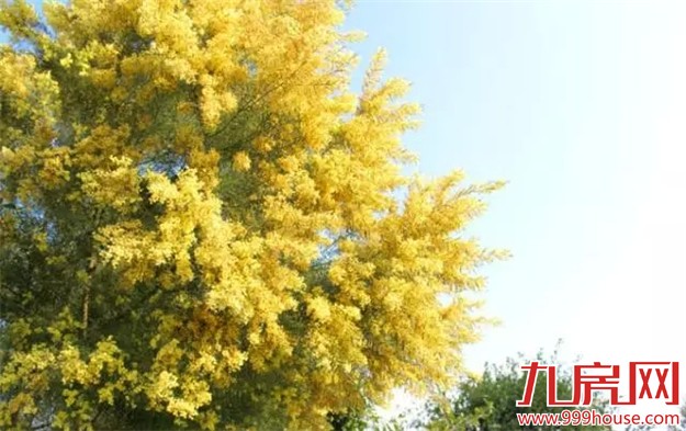 《跑男》要来厦录制？厦门高颜值又浪漫的取景地——九房网