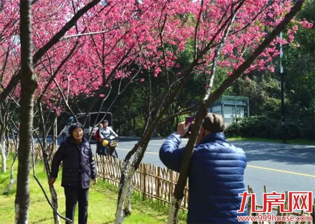 《跑男》要来厦录制？厦门高颜值又浪漫的取景地——九房网