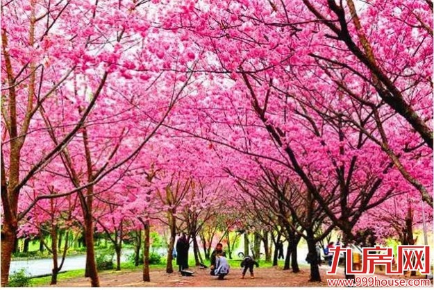 厦门是哪个省的？已传疯！厦门人快顶！起！来！——九房网