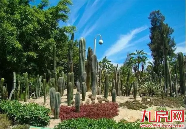 厦门是哪个省的？已传疯！厦门人快顶！起！来！——九房网