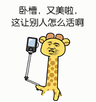 【独家】买房也有"春运"？是的！房管局现场已沦陷了！——九房网