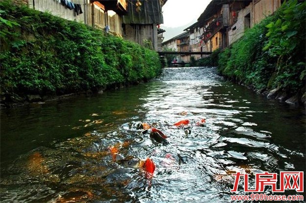 福建省确定12个试点全域旅游试点县  有你的家乡吗？——九房网