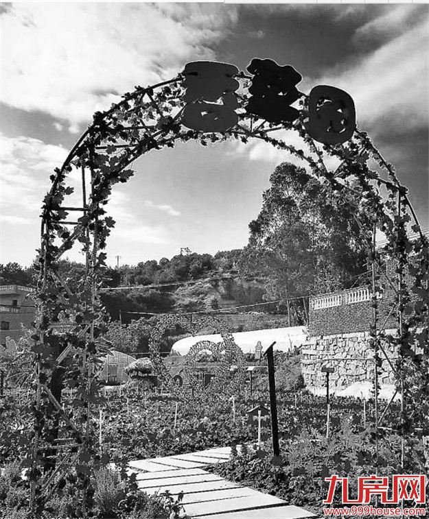 厦门6村入选“美丽乡村示范村” 相比去年减少了2个——九房网