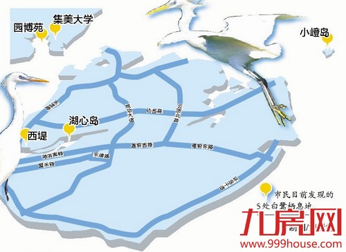 厦门白鹭栖息地调查下月启动 预计6月底前完成——九房网
