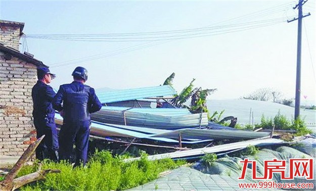 高压打击“抢建抢赔” 保障马銮湾新城建设——九房网