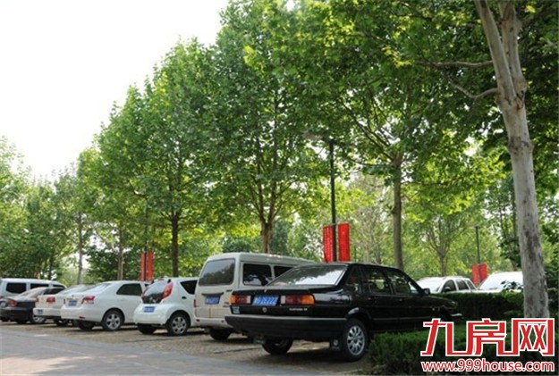 今年厦门将增公园绿地100公顷 推广林荫停车场建设——九房网