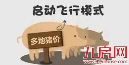 坏消息又来了  在厦门  比房价更更更让人痛心的竟然是……——九房网