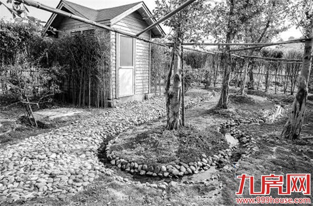 集美208个村年底污水零排放 臭水沟变“人工湿地”——九房网