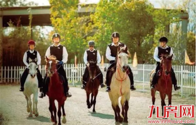 三盛国际海岸:日光247套 最火墅质高层【大揭秘】——九房网 三盛国际海岸:日光247套 最火墅质高层【大揭秘】——九房网