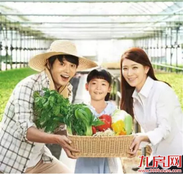 三盛国际海岸:日光247套 最火墅质高层【大揭秘】——九房网 三盛国际海岸:日光247套 最火墅质高层【大揭秘】——九房网