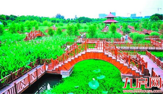 厦门岛外将新增3处湿地公园 分别位于集美和海沧——九房网