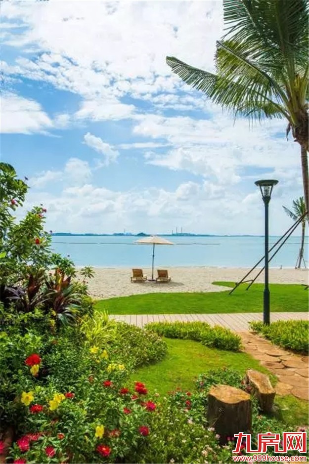 对不起 !我要去新加坡旁森林城市了,羡慕就来找我吧!——九房网 对不起 !我要去新加坡旁森林城市了,羡慕就来找我吧!——九房网