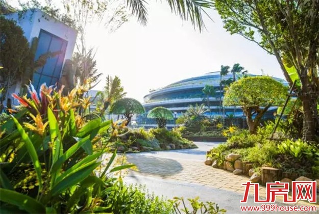 对不起 !我要去新加坡旁森林城市了,羡慕就来找我吧!——九房网 对不起 !我要去新加坡旁森林城市了,羡慕就来找我吧!——九房网