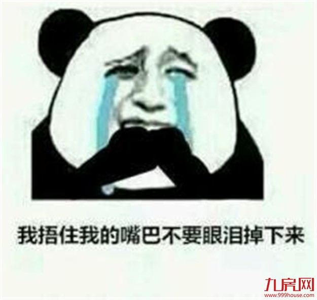 看完之后 办公室的同事都哭了起来...... ——九房网