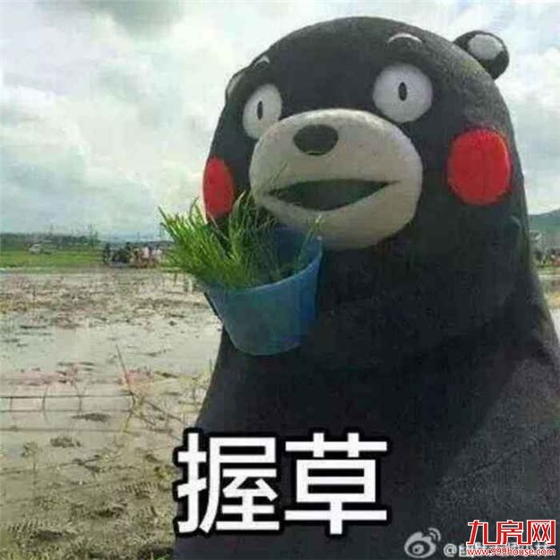 每个段子后面 都藏着血与泪——九房网