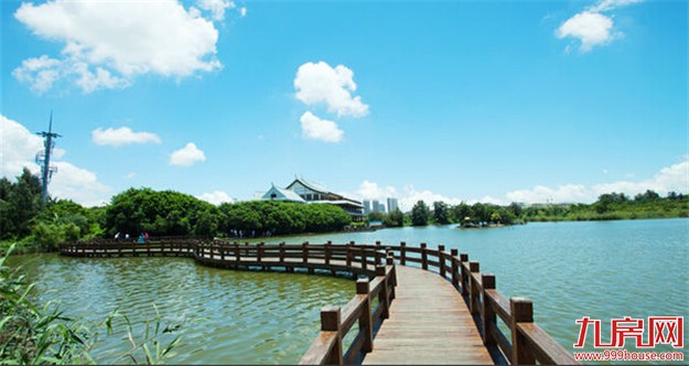 在厦门，有一套房=少奋斗70年？——九房网