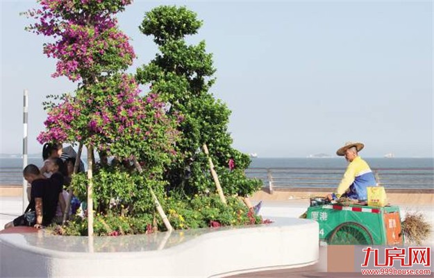 厦门十余部门调研演武观景平台开出治堵良方 片区纳入交通严管区——九房网