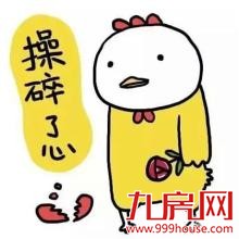 厦门六区小学划片都在这！关乎所有的家长、孩子——九房网