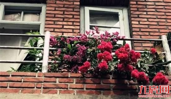 你说鼓浪屿很美 我说你不知道的厦门更美——九房网