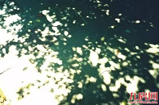 你说鼓浪屿很美 我说你不知道的厦门更美——九房网