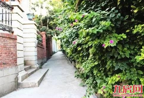 你说鼓浪屿很美 我说你不知道的厦门更美——九房网