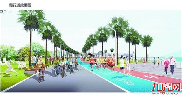 环同安湾将建滨海马拉松跑道 道路部分预计明年完工——九房网