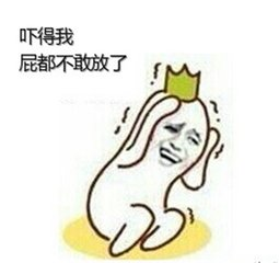 七月环涨4.6%，全国第一！厦门人民喜迎房价十七连涨！——九房网