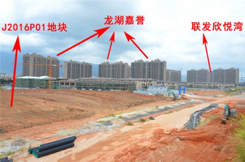 直播预告∣60家房企疯抢6幅地块，距离厦门楼市“炸锅”还有2天！——九房网