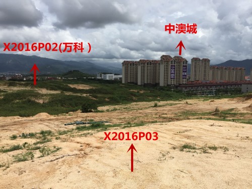 直播预告∣60家房企疯抢6幅地块，距离厦门楼市“炸锅”还有2天！——九房网