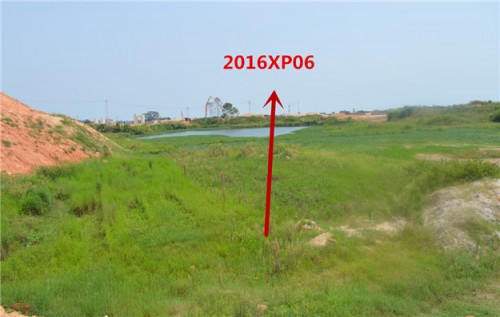 直播预告∣60家房企疯抢6幅地块，距离厦门楼市“炸锅”还有2天！——九房网