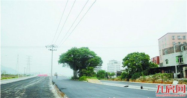 国道324复线(同安大道-马巷段)已全线贯通 九八前具备通车条件——九房网