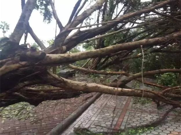 建发:风雨同舟、众志成城!呵护钻石人生!——九房网 建发:风雨同舟、众志成城!呵护钻石人生!——九房网