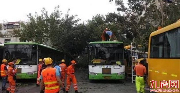 受台风影响 同安、翔安部分公交暂未恢复——九房网
