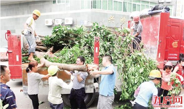 厦门4万余名干部赴各社区参与重建 带动市民主动参与环境秩序恢复——九房网