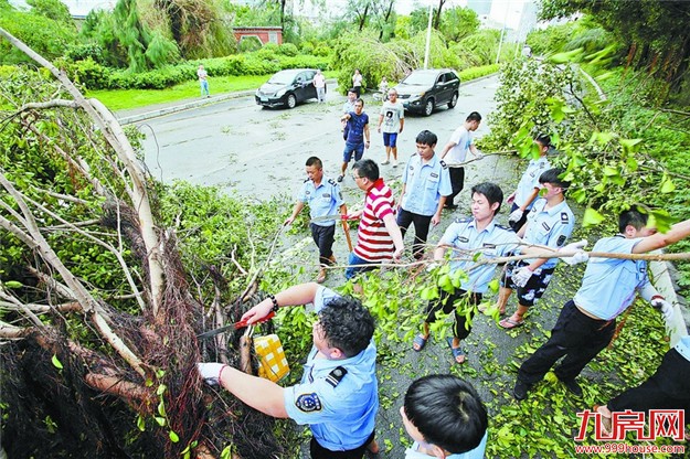 【厦门爆闻】注意！台风后做这些事，最高罚500万！——九房网
