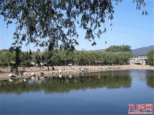 杏林湾水库将大变身 未来现栖息地 ——九房网