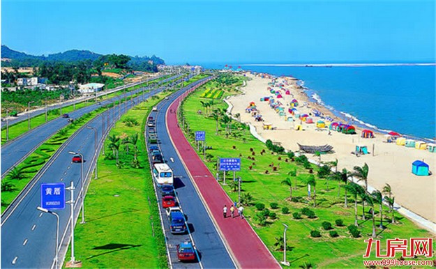 厦环岛路绿化29日基本恢复 12月10日将全面完成改造——九房网