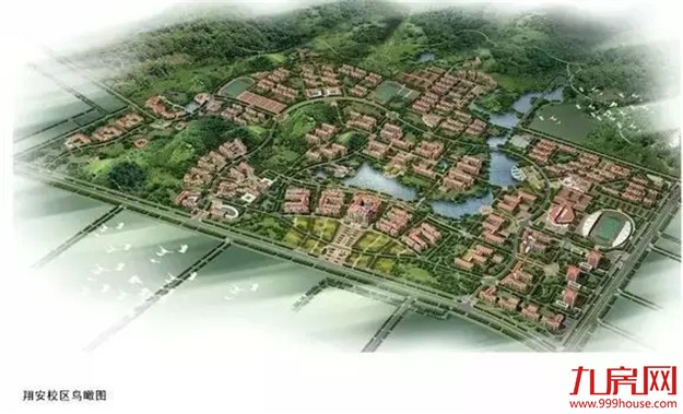 厉害哟!厦门又得了一个“中国前十”!!——九房网