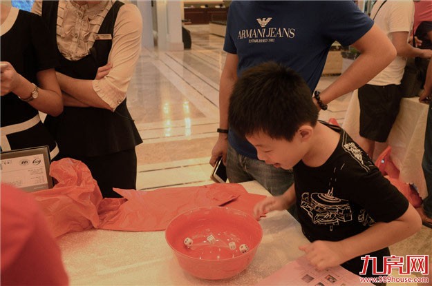 首届九房网全城博饼节圆满落幕！2万元现金被这个人博走了！——九房网