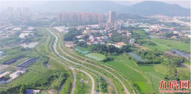 厦门小流域综合治理试点工作取得阶段性成效 “生态美”初步彰显——九房网